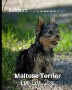 Maltese Terrier - Live Love Dogs!: Composition Notebook for Dog Lovers