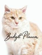 Budget Planner: Finance Monthly, Daily Budget Planner Expense Tracker Bill Organizer Journal (Volume 6)