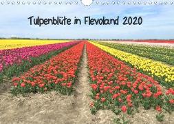 Tulpenblüte in Flevoland 2020 (Wandkalender 2020 DIN A4 quer)