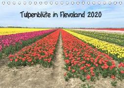 Tulpenblüte in Flevoland 2020 (Tischkalender 2020 DIN A5 quer)