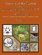 Secrets of the Forest Volume 3: Eye to Eye with the Animals of the Wild and at Play in the Wild