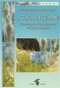 Acqua di gemme. Preparazione ad uso terapeutico dell'acqua di gemme