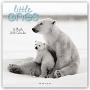 Little Ones 2020 Square Wall Calendar