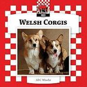 Welsh Corgis