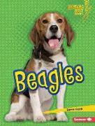 Beagles