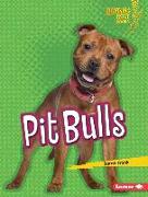 Pit Bulls