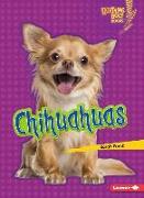 Chihuahuas