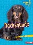 Dachshunds