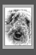 Airedale Terrier Notebook: Dog Notebook, Journal, Gift Book