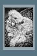 Bedlington Terrier Notebook: Dog Notebook, Journal, Gift Book