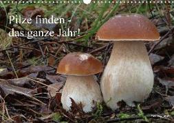 Pilze finden - das ganze Jahr! (Wandkalender 2020 DIN A3 quer)