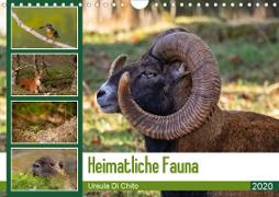 Heimatliche Fauna (Wandkalender 2020 DIN A4 quer)