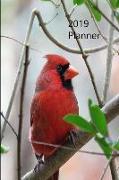 2019 Planner: 6 X 9 Cardinal Planner with 53 Pages. January 2019 Through December 2019
