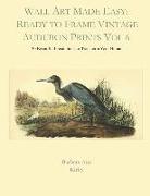 Wall Art Made Easy: Ready to Frame Vintage Audubon Prints Vol 6: 30 Beautiful Illustrations to Transform Your Home