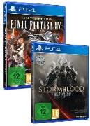 Final Fantasy XIV Double Pack (PlayStation PS4)