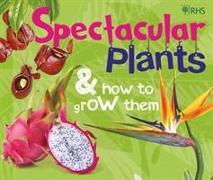 RHS Spectacular Plants and how to grow them
