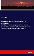 Programm des Real-Gymnasiums in Magdeburg