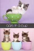 Cats in a Cup