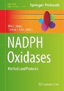 NADPH Oxidases