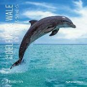 Delfine & Wale 2020
