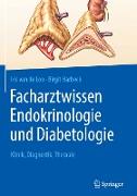 Facharztwissen Endokrinologie und Diabetologie