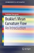 Brakke's Mean Curvature Flow