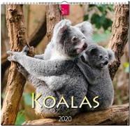 Koalas 2020