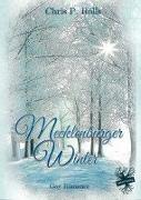 Mecklenburger Winter