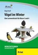Vögel im Winter (PR)