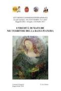 L'eredità di Matilde nei territori della Bassa Pianura. Atti dei due Convegni internazionale di studi storici matildici. 9° centenario: 1115-2015 (Reggiolo, 4 luglio e 24 ottobre 2015)