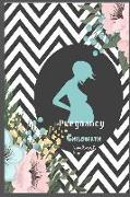 Pregnancy Childbirth Journal: Pregnancy Childbirth Journal Ad Planner for New Moms, Women Keepsake