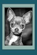 Chihuahua Notebook: Dog Notebook, Journal, Gift Book