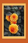 Dahlia Notebook: Gardening Notebook, Journal, Gift Book