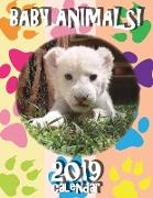 Baby Animals! 2019 Calendar