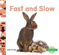 Fast and Slow