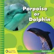 Porpoise or Dolphin