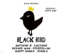 Black Bird/Big Slap Riddims