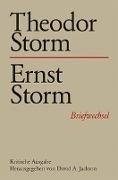 Theodor Storm - Ernst Storm