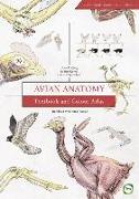 Avian Anatomy 2nd Edition: Textbook and Colour Atlas