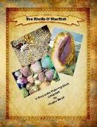 Sea Shells & Starfish: A Greyscale Coloring Book