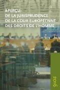 Apercu de la Jurisprudence de la Cour Europeenne Des Droits de l'Homme: Issue: 2016