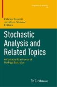 Stochastic Analysis and Related Topics