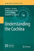 Understanding the Cochlea