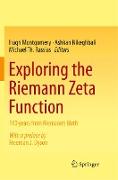 Exploring the Riemann Zeta Function