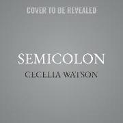 Semicolon: The Past, Present, and Future of a Misunderstood Mark