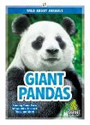 Giant Pandas