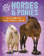 Pet Expert: Horses and Ponies