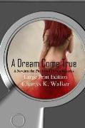 A Dream Come True: A Novelette for the Vision Chronicles Series