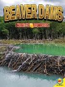 Beaver Dams