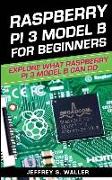 Raspberry Pi 3 Model B for Beginners: Explore What Raspberry Pi 3 Model B Can Do